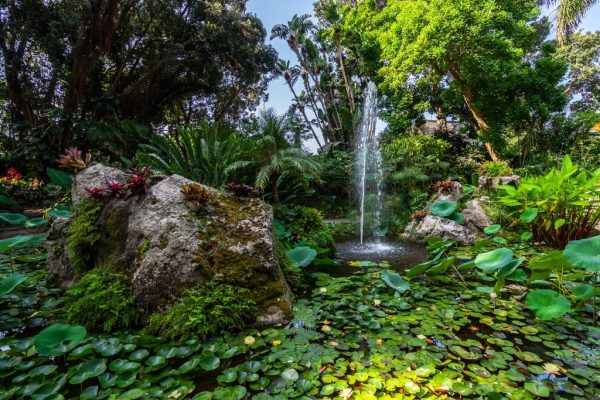 Visita Giardini La Mortella Ischia